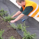 Unkrautvlies PLANTEX PRO, 50 m lang, 100 cm breit