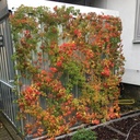 Spalierset GRIPPLE Edelstahl