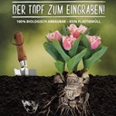 Pflanztopf POTT aus Naturfaser 12 x 10 cm