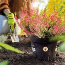 Pflanztopf BIO 12 x 9.4 cm