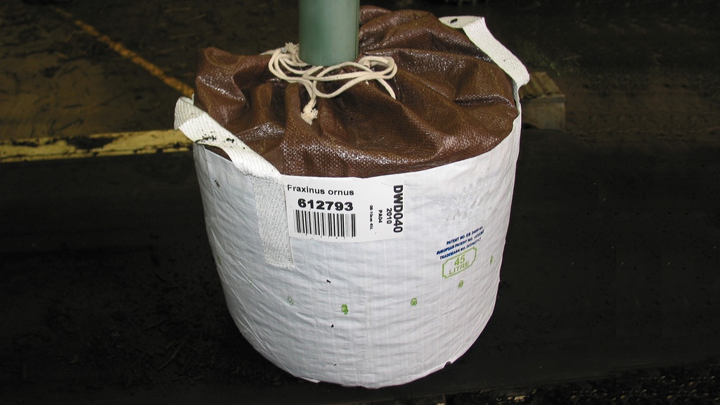 Baumschulcontainer White Bag 65 lt