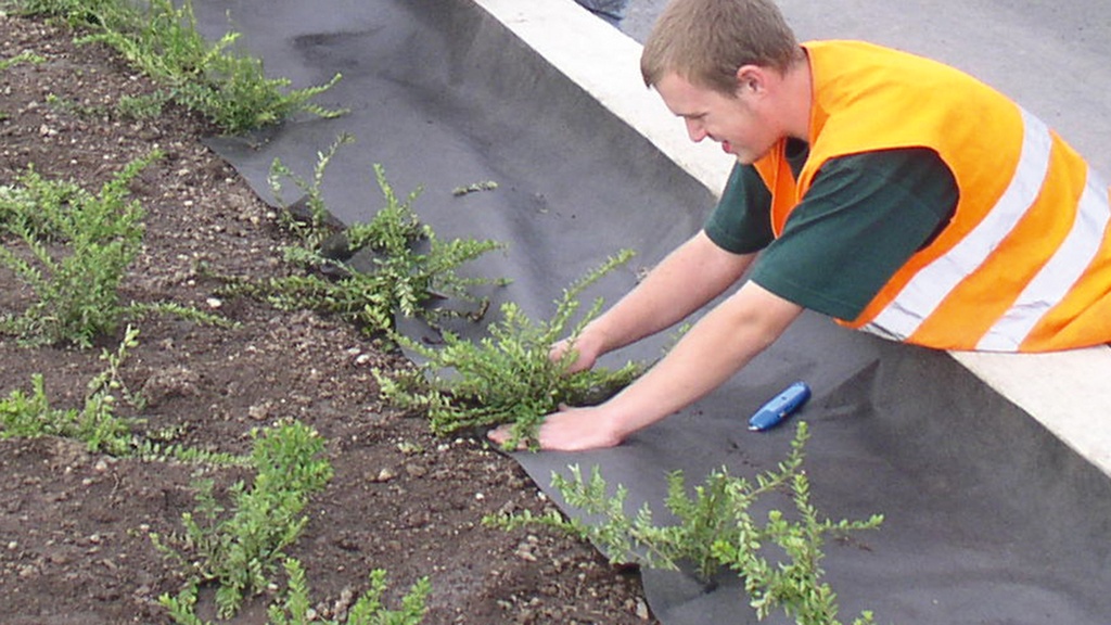 Unkrautvlies PLANTEX PRO, 50 m lang, 200 cm breit