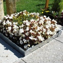 Grabeinfassung Stahl verzinkt 125 x 75 cm