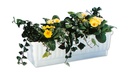 Blumenkasten VENEZIA braun 60 cm, inkl. Wasserstandsanzeiger