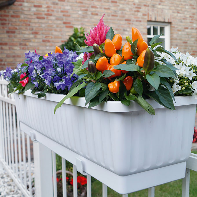 Blumenkasten VENEZIA braun 60 cm, inkl. Wasserstandsanzeiger