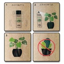 OASIS® FLORALIFE® Blattglanz, 750 ml