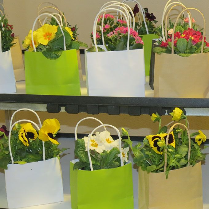 Papiertasche «Miniplant» Kraftpapier maigrün mit PE-Beschichtung, 14/6 x 12 cm