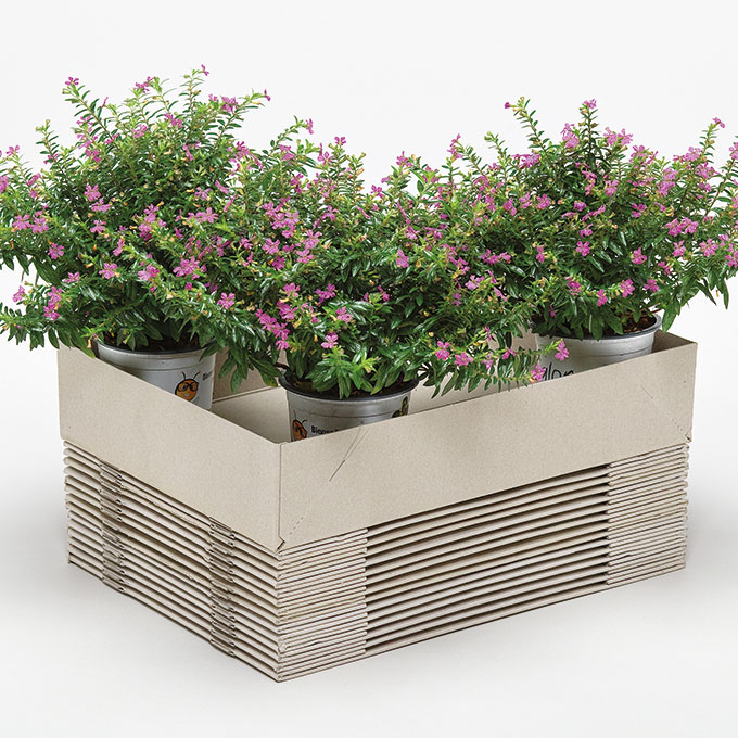 Aufrichteboden 35 x 24.5 x 7 cm, 600 g/m2, 25 Stück