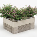 Aufrichteboden 35 x 24.5 x 7 cm, 600 g/m2, 25 Stück