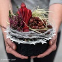 OASIS® BLACK BIOLIT® Pflanzschale ø 30 cm