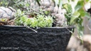 OASIS® BLACK BIOLIT® Pflanzschale ø 45 cm