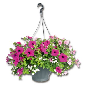 Blumenampeln ROYAL-TOP blau, 20 cm ø