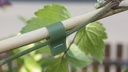 Bindeband SUPER MAX rot, 0.20 mm dick 20 m lang, 10 Rollen