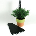 Stecketiketten schwarz, 300 x 35 mm, Beutel à 10 Stück