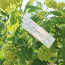 Alu-Hängeetiketten PRINTIKETT 76 x 22 mm, 100 Stück