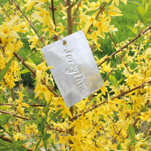 Alu-Hängeetiketten PRINTIKETT 100 x 76 mm, 50 Stück