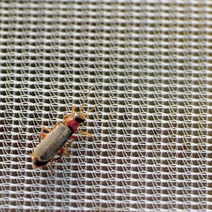 135.600_Kulturschutznetz FILBIO, 100 m lang, 220 cm breit