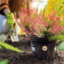 Pflanztopf BIO 12 x 9.4 cm, Volumen 0.65 l