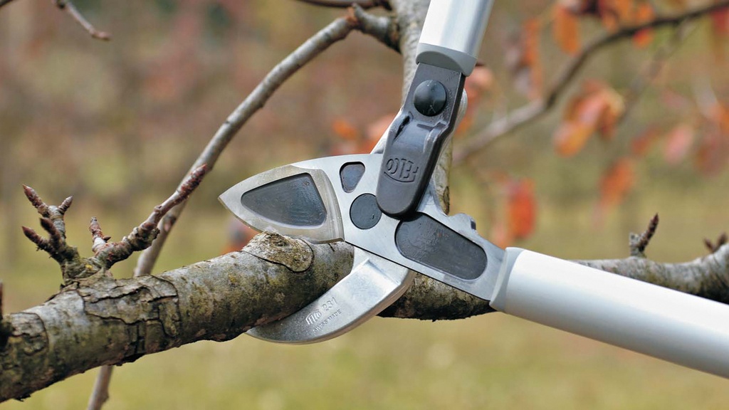 Astschere FELCO 231 gebogener Amboss