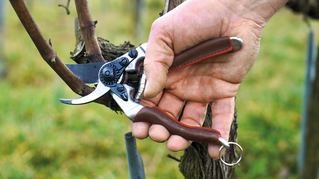 Baumschere FELCO 8 Elite, Klinge Black F-Tech, lederbezogene Griffe, 21 cm lang