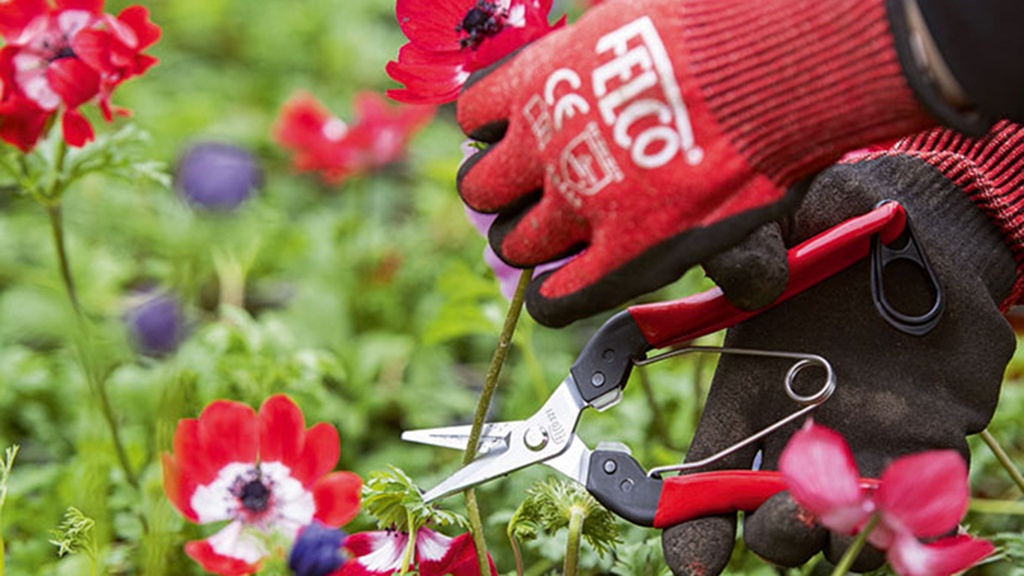 Ernte- und Leseschere FELCO 321, 17.7 cm lang