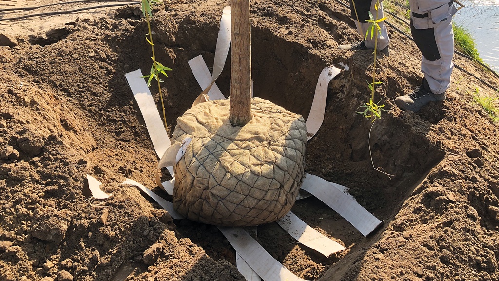 Wasserspeicherband WATERTAPE, Rolle à 25 m