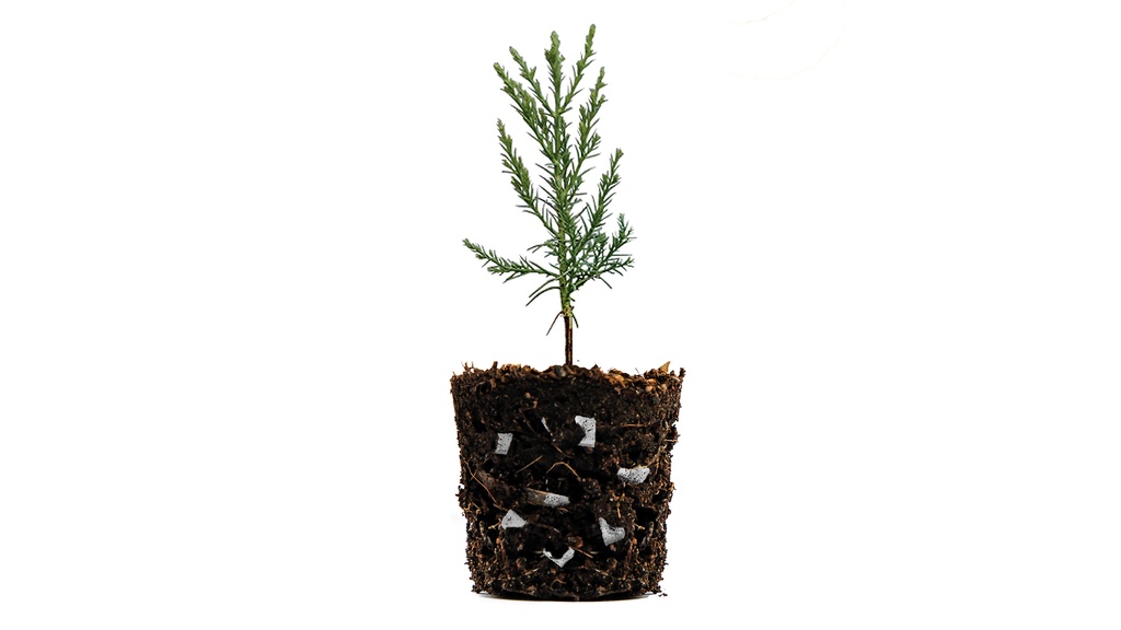 Vlieswürfel LITE-CUBES BIO1, Sack à 50 Liter