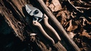 Baumschere LÖWE N7.104, Hickory-Holzgriff, 20 cm lang