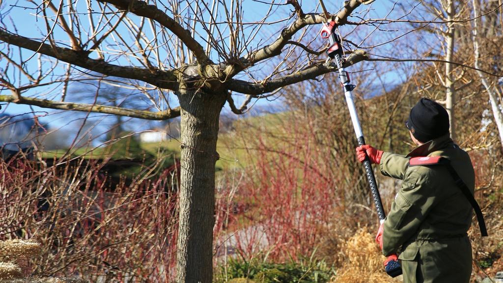 Teleskopstange für Akku-Gartenschere FELCO 834W