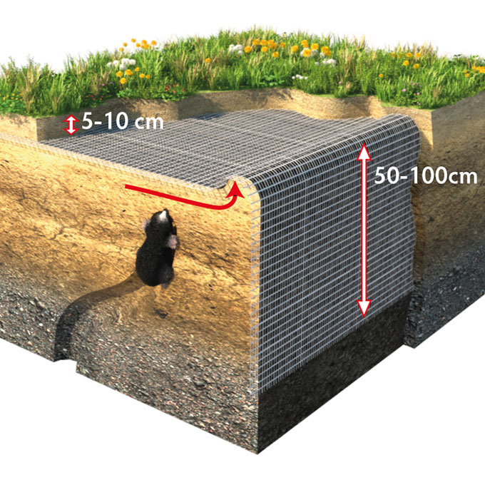 Maulwurfgitter, 200 cm breit, 50 m lang