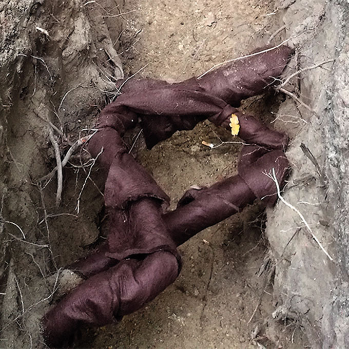 LITE-Rootprotect Wurzelbandage, Pack à 8 Rollen