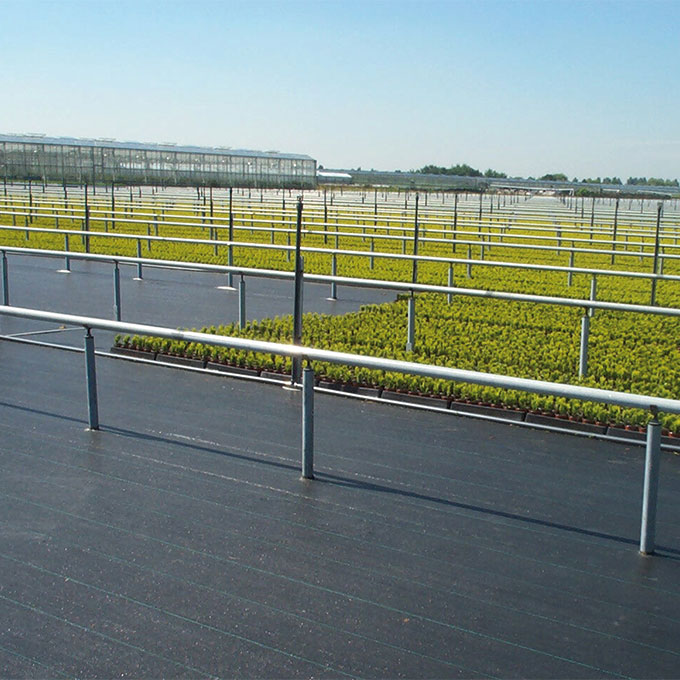 Bändchengewebe PHORMISOL 137, 132 g/m2, 100 m, 167 cm breit