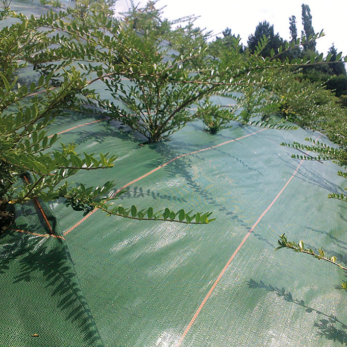 Bodengewebe AGROLYS, 86 g/m2, 100 m, 207 cm breit