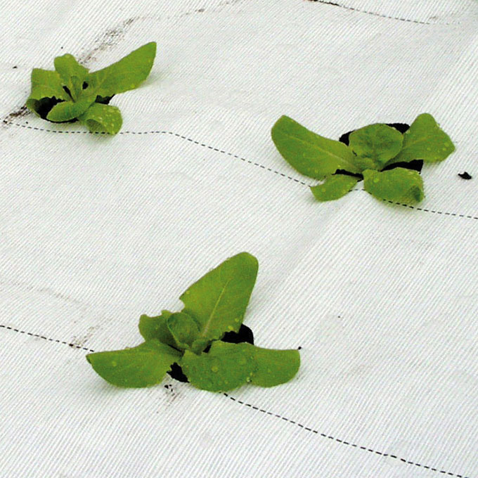 Bändchengewebe PHORMIFLEX, 100 g/m2, 100 m, 415 cm breit