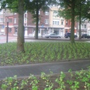 Bio-Bändchengewebe DURACOVER, 130 g/m2, 100 m, 100 cm breit