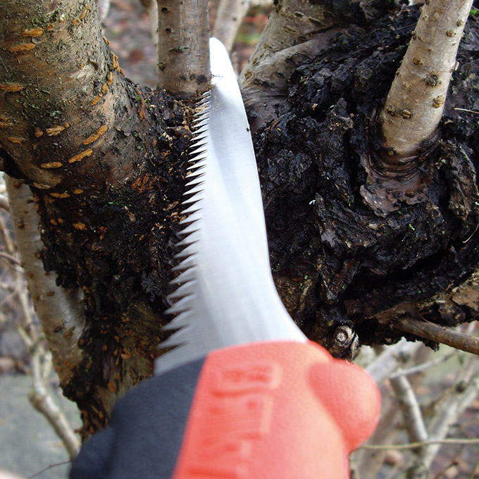 Baumsäge SILKY Tsurugi 300-8, inkl. Etui