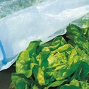 Abdeck­vlies COVERTAN PRO 17 g/m2, 250 m lang, 220 cm breit