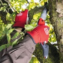 Baumsäge FELCO 603, Blatt gebogen 20 cm