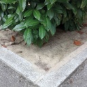 Mulchmatte 200 cm breit, Gewicht 500 g/m², Rolle à 20 m 