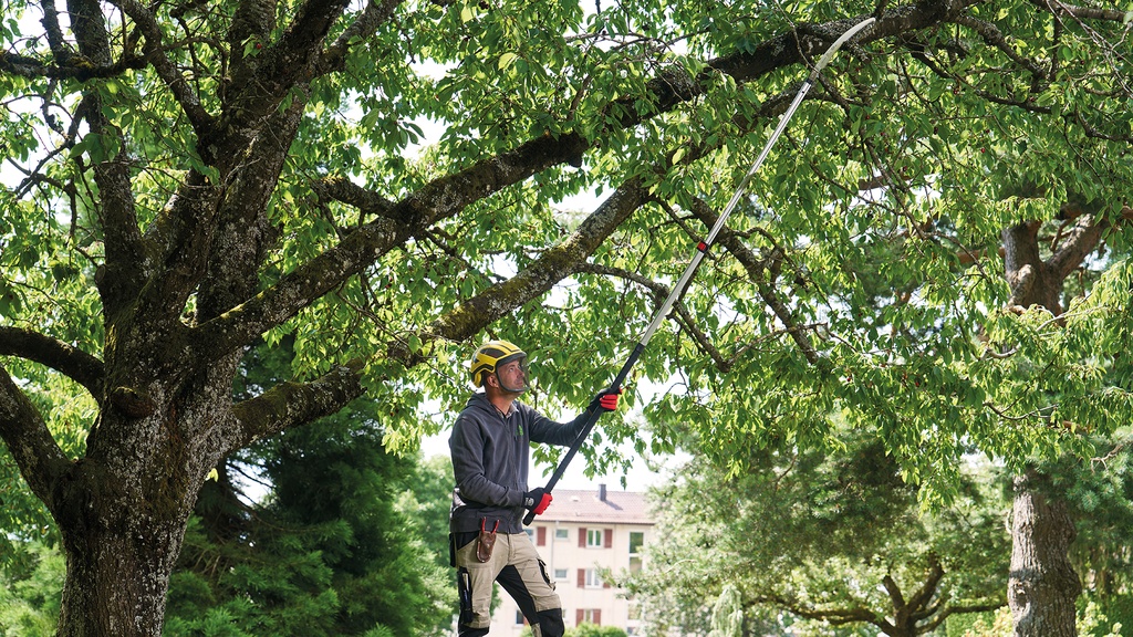 Teleskopsäge FELCO 682, 2-teilig, Blattlänge 33 cm, Länge 207-340 cm