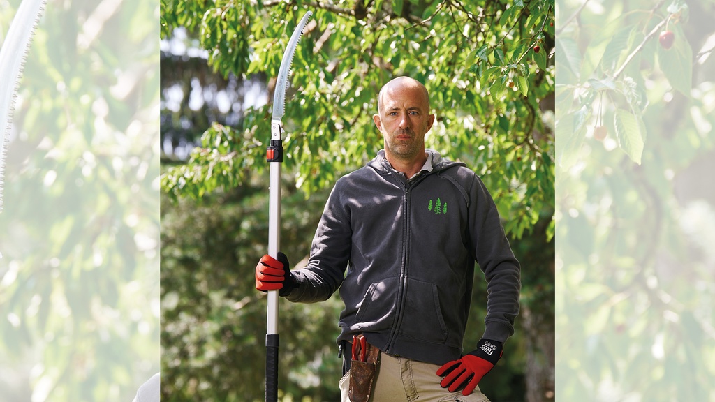 Teleskopsäge FELCO 682, 2-teilig, Blattlänge 33 cm, Länge 207-340 cm