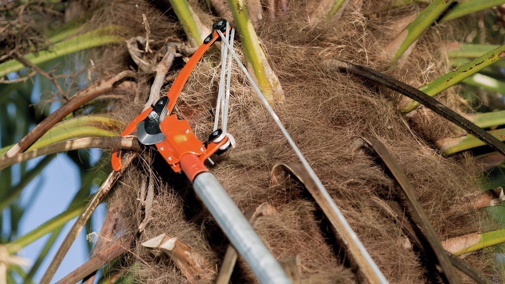 Raupenschere BAHCO P34, 37 cm lang