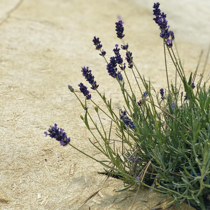 Hanfvlies, 450 g/m², 50 m lang, 88 cm breit