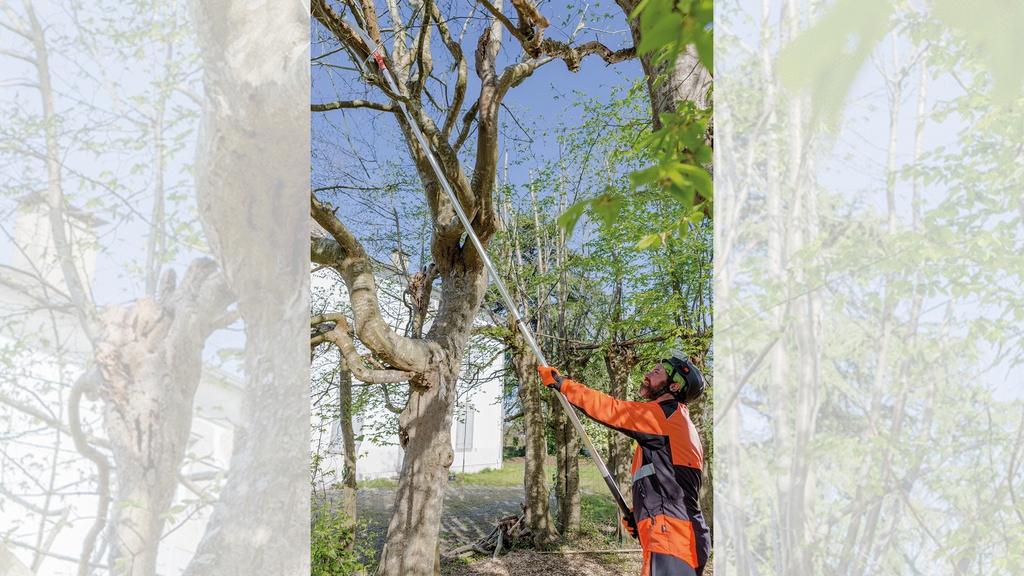 Raupenschere BAHCO P34, 37 cm lang