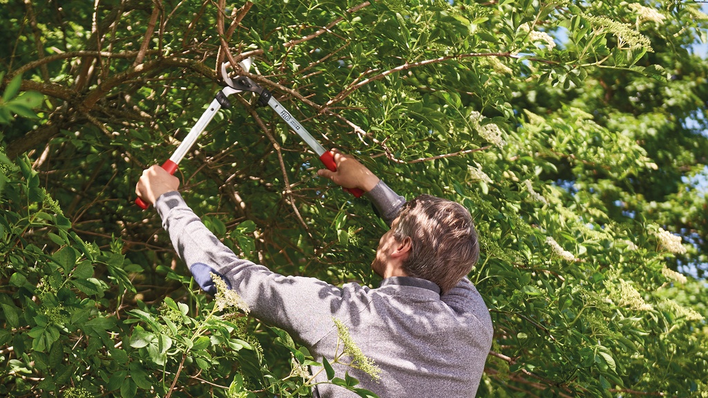 Astschere FELCO 211-50, Schneidkapazität 35 mm, 50 cm lang