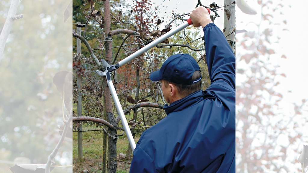 Astschere FELCO 230 flacher Amboss