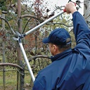 Astschere FELCO 230 flacher Amboss