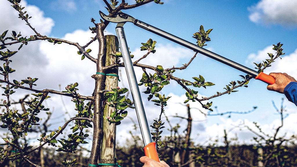 Astschere LÖWE 22.080 gebogener Amboss