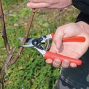 Baumschere FELCO 12, 20 cm lang