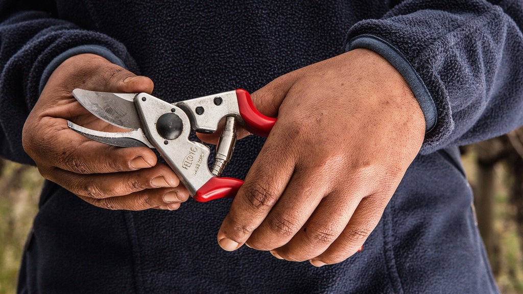 Baumschere FELCO 16, Linkshänder, 19.5 cm lang